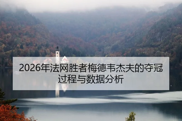 nian-fa-wang-sheng-zhe-mei-de-wei-jie-fu-de-duo-guan-guo-cheng-yu-shu-ju-fen-xi-2-471.jpg