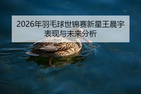 2026年羽毛球世锦赛新星王晨宇表现与未来分析