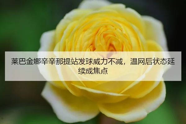 lai-ba-jin-na-xin-xin-na-ti-zhan-fa-qiu-wei-li-bu-jian-wen-wang-hou-zhuang-tai-yan-xu-cheng-jiao-dian-3-147.jpg