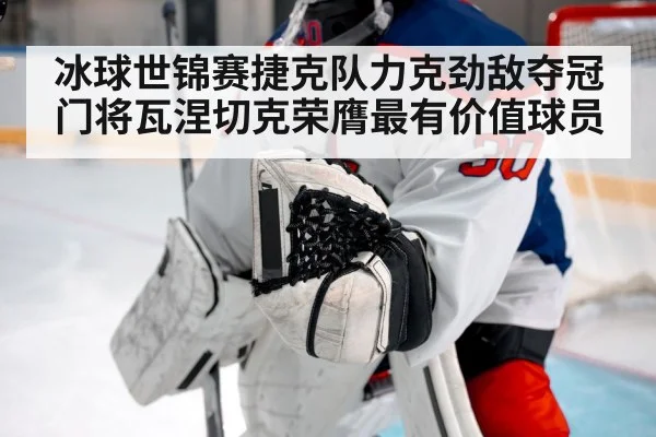 冰球世锦赛捷克队力克劲敌夺冠门将瓦涅切克荣膺最有价值球员